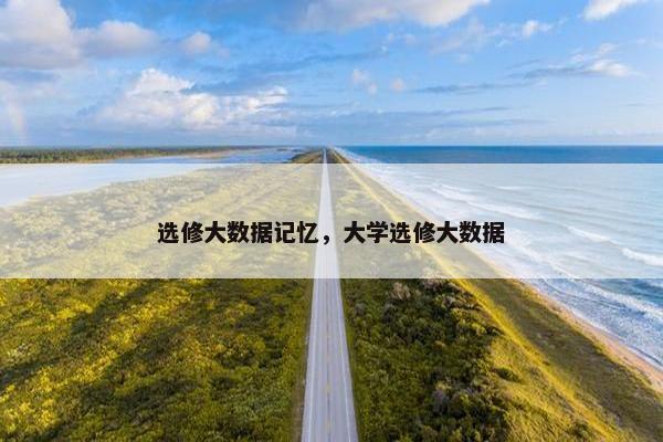 选修大数据记忆，大学选修大数据