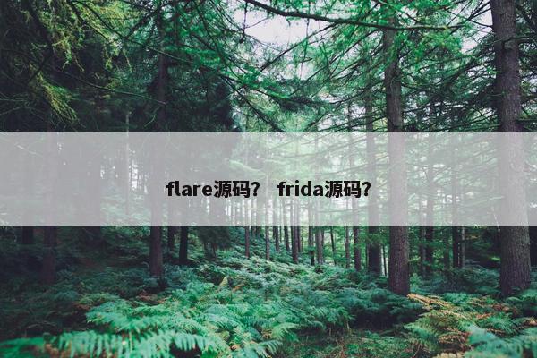 flare源码？ frida源码？