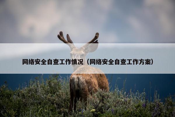 网络安全自查工作情况（网络安全自查工作方案）
