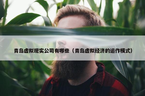 青岛虚拟现实公司有哪些(青岛虚拟经济的运作模式) 青岛虚拟现实公司有哪些(青岛虚拟经济的运作模式)