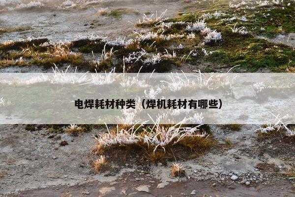 电焊耗材种类(焊机耗材有哪些) 电焊耗材种类(焊机耗材有哪些)