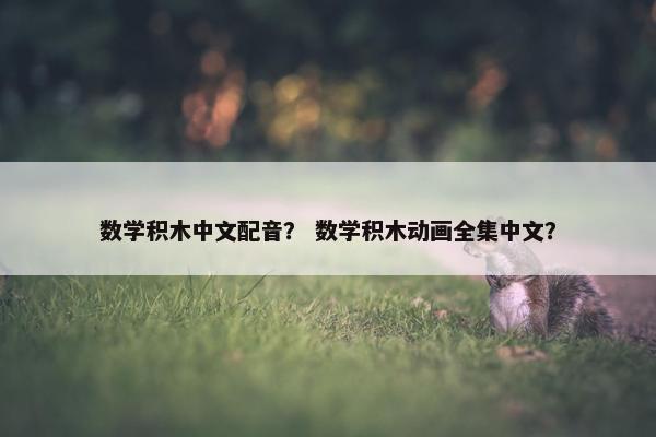 数学积木中文配音？ 数学积木动画全集中文？