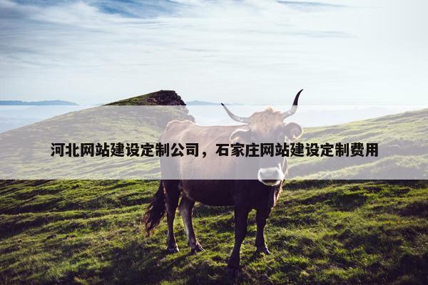 河北网站建设定制公司，石家庄网站建设定制费用