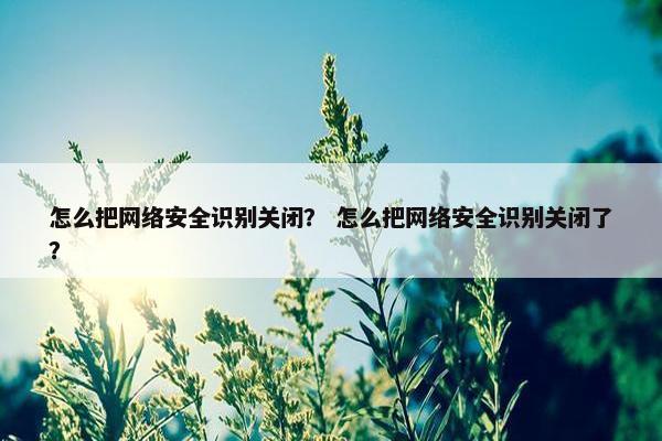 怎么把网络安全识别关闭？ 怎么把网络安全识别关闭了？
