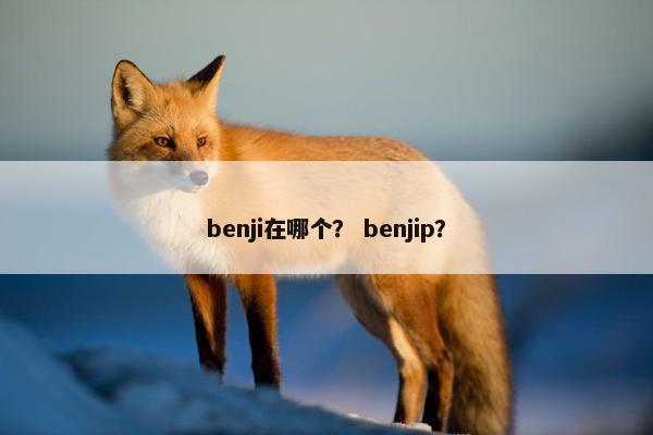 benji在哪个？ benjip？