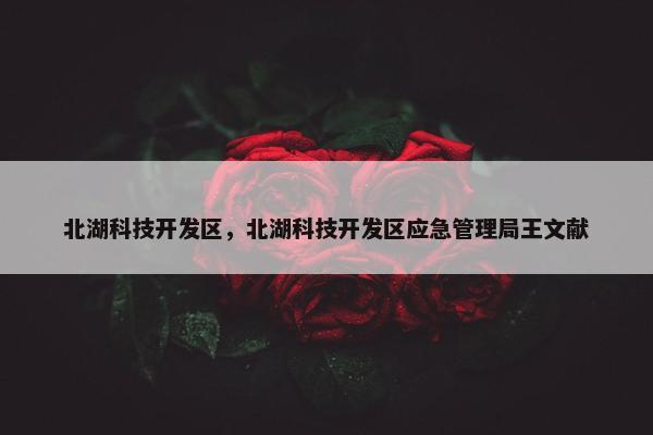 北湖科技开发区，北湖科技开发区应急管理局王文献