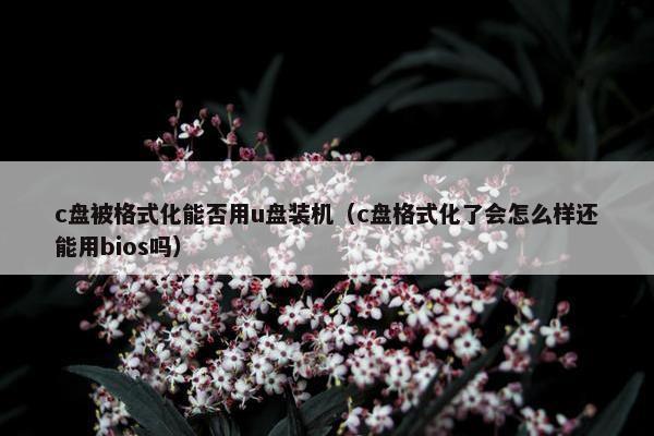 c盘被格式化能否用u盘装机（c盘格式化了会怎么样还能用bios吗）