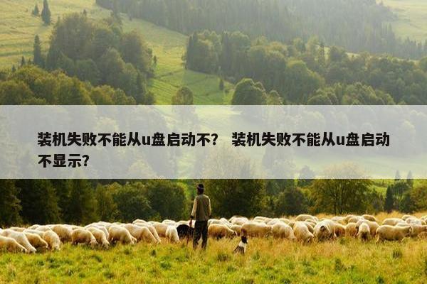 装机失败不能从u盘启动不？ 装机失败不能从u盘启动不显示？
