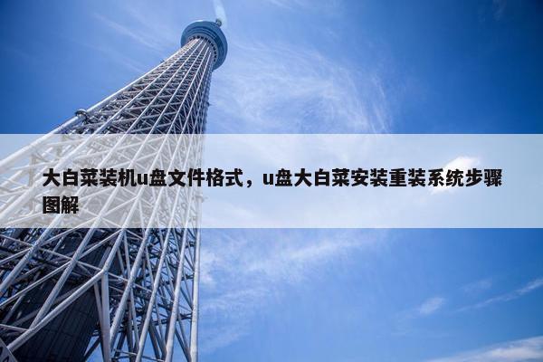 大白菜装机u盘文件格式，u盘大白菜安装重装系统步骤图解