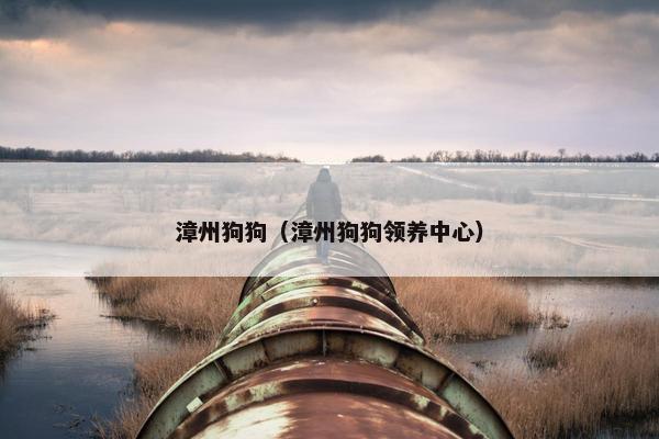 漳州狗狗（漳州狗狗领养中心）