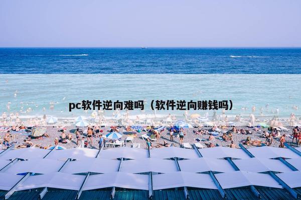 pc软件逆向难吗（软件逆向赚钱吗）