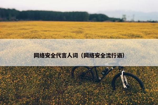 网络安全代言人词（网络安全流行语）