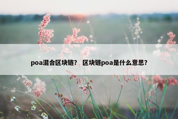 poa混合区块链？ 区块链poa是什么意思？