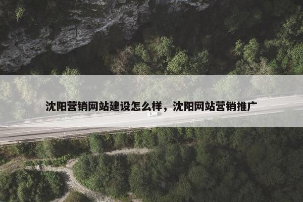 沈阳营销网站建设怎么样，沈阳网站营销推广