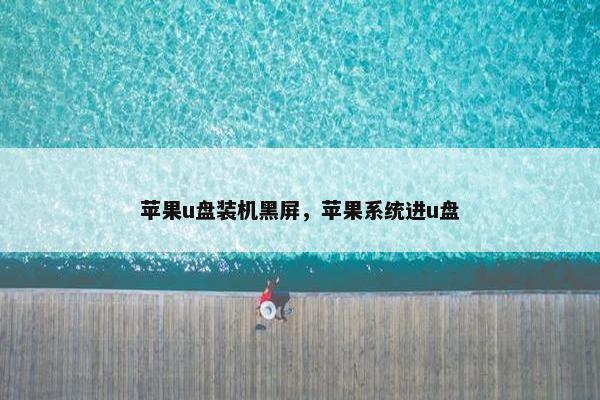 苹果u盘装机黑屏,苹果系统进u盘 苹果u盘装机黑屏,苹果系统进u盘