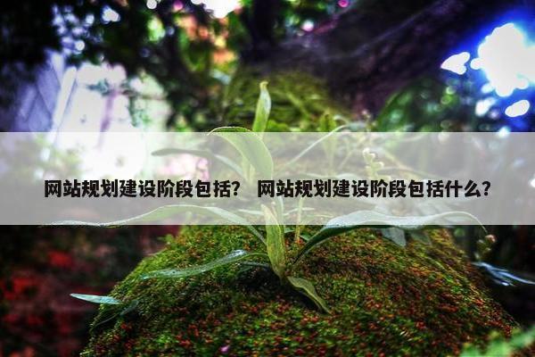 网站规划建设阶段包括? 网站规划建设阶段包括什么? 网站规划建设阶段包括? 网站规划建设阶段包括什么?