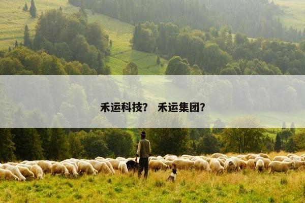 禾运科技？ 禾运集团？