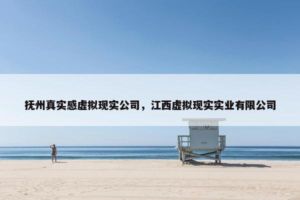 抚州真实感虚拟现实公司，江西虚拟现实实业有限公司