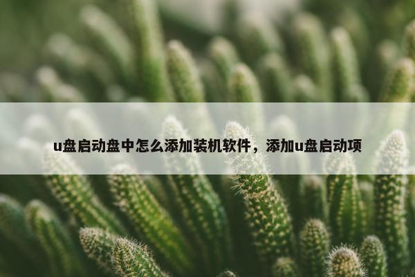 u盘启动盘中怎么添加装机软件，添加u盘启动项