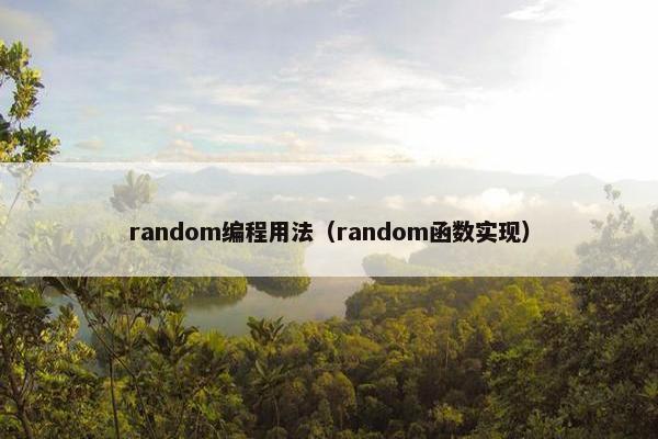 random编程用法（random函数实现）