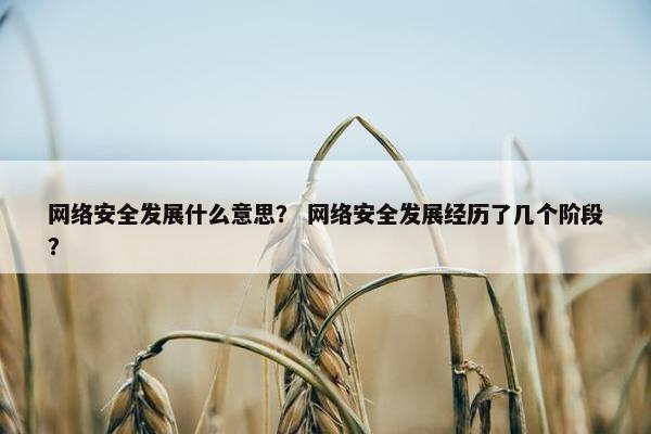 网络安全发展什么意思? 网络安全发展经历了几个阶段? 网络安全发展什么意思? 网络安全发展经历了几个阶段?