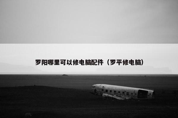 罗阳哪里可以修电脑配件（罗平修电脑）