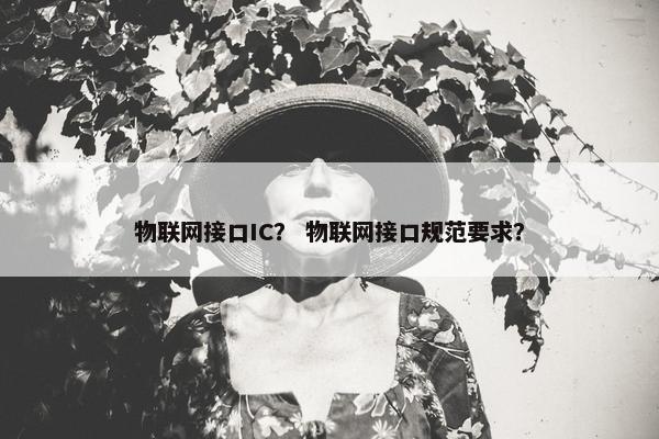 物联网接口IC？ 物联网接口规范要求？