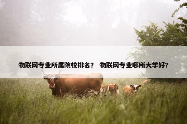物联网专业所属院校排名？ 物联网专业哪所大学好？