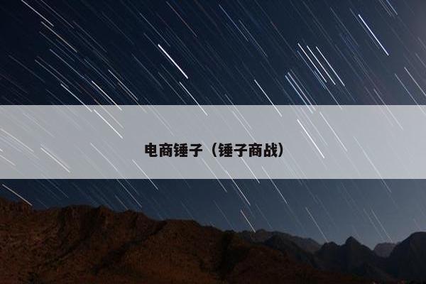 电商锤子(锤子商战) 电商锤子(锤子商战)