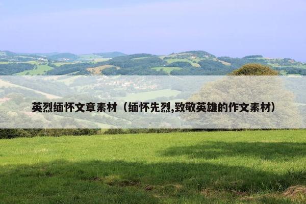 英烈缅怀文章素材（缅怀先烈,致敬英雄的作文素材）