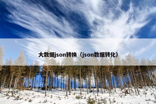 大数据json转换（json数据转化）