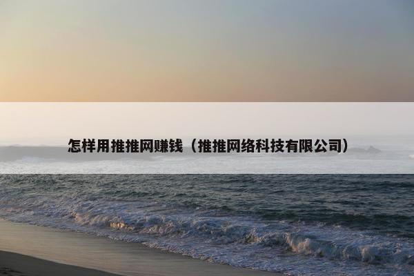 怎样用推推网赚钱（推推网络科技有限公司）