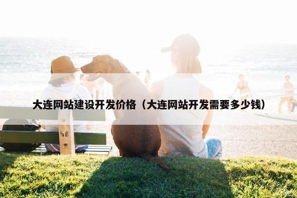 大连网站建设开发价格（大连网站开发需要多少钱）