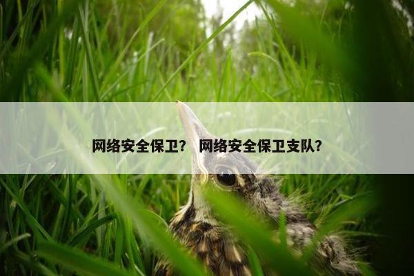 网络安全保卫？ 网络安全保卫支队？
