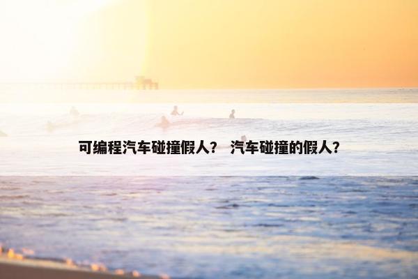 可编程汽车碰撞假人? 汽车碰撞的假人? 可编程汽车碰撞假人? 汽车碰撞的假人?