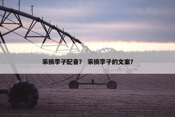 采摘李子配音？ 采摘李子的文案？