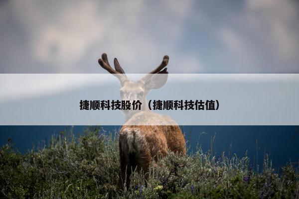 捷顺科技股价（捷顺科技估值）
