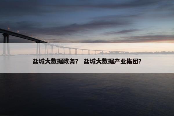盐城大数据政务？ 盐城大数据产业集团？