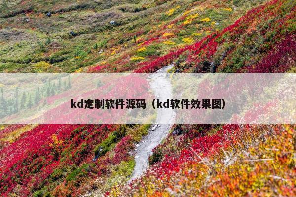 kd定制软件源码（kd软件效果图）