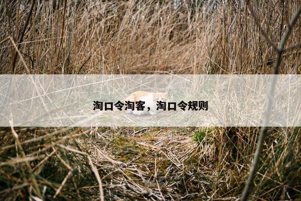 淘口令淘客，淘口令规则