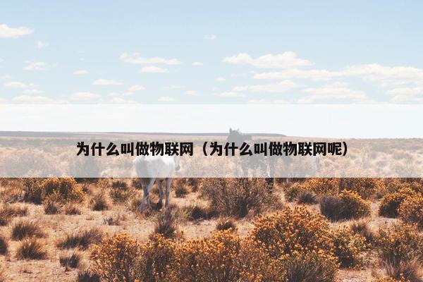 为什么叫做物联网（为什么叫做物联网呢）