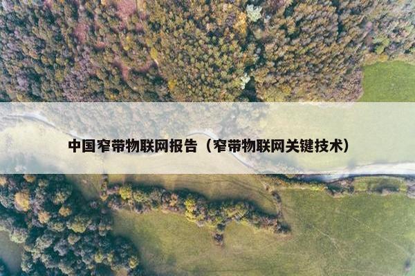 中国窄带物联网报告（窄带物联网关键技术）