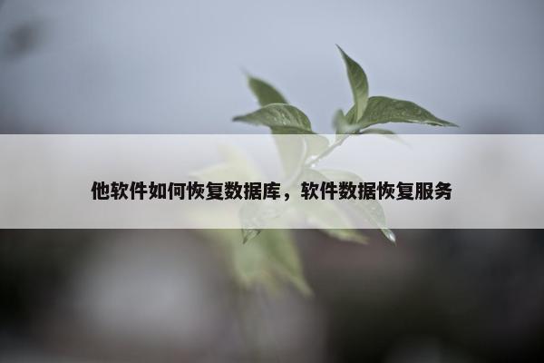 他软件如何恢复数据库，软件数据恢复服务