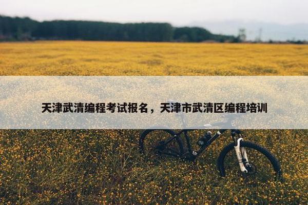 天津武清编程考试报名，天津市武清区编程培训