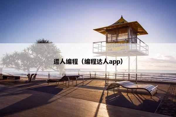 逗人编程（编程达人app）