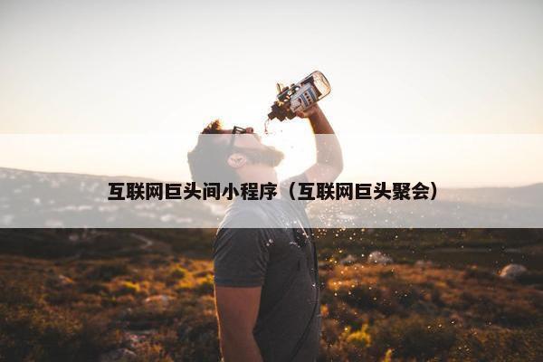 互联网巨头间小程序（互联网巨头聚会）