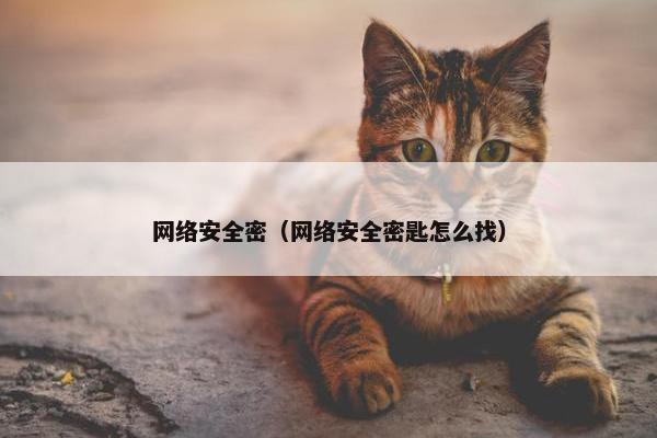 网络安全密（网络安全密匙怎么找）