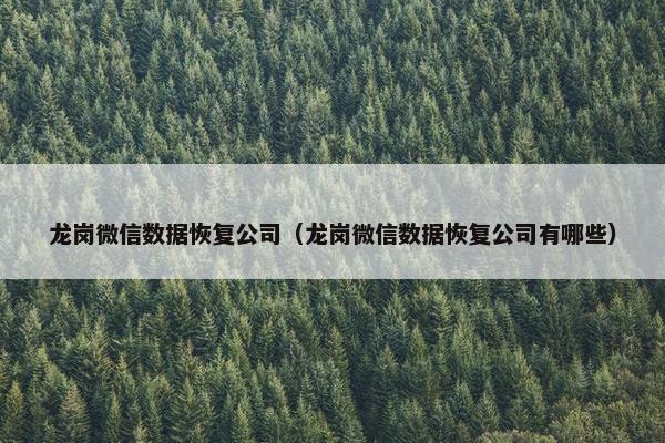 龙岗微信数据恢复公司（龙岗微信数据恢复公司有哪些）