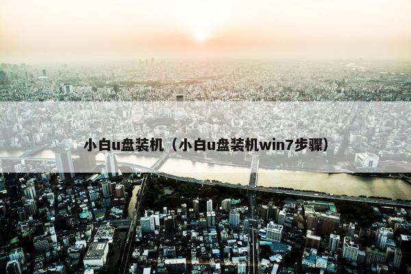 小白u盘装机（小白u盘装机win7步骤）