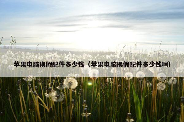 苹果电脑换假配件多少钱（苹果电脑换假配件多少钱啊）